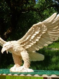 tj13-14 pferde titel oeschs 170